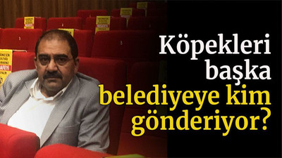 Köpekleri başka belediyeye kim gönderiyor?